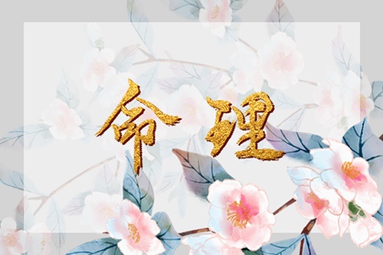 农历日历2026年_农历日历_今日农历黄道吉日查询